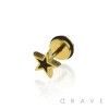 GOLD PLATED 316L SURGICAL STEEL FAKE PLUG W/ BLACK STAR